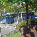 대전시내버스 이미지