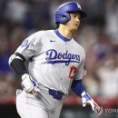 서울부동산중개인 이미지