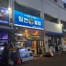 포항가자미회 | 포항횟집 '일선물회' 후기 모둠회 물회 가자미회 오징어회