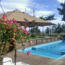 오션바이브 이미지