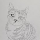 토리두두 이미지