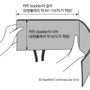 1권 p488 흉부 타진음과 p556 혈압계 커프 너비 이미지