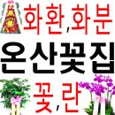 신온7길 네이버블로그