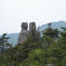 석전시장 이미지