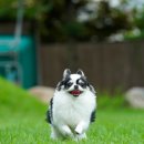 W&W(와앤와) 이미지