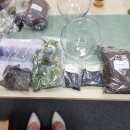 통일원 | [후기] 남북공방 통일솜씨+ 원데이클래스 - 7월 유리병정원(테라리움) 만들기