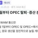 uae opec 탈퇴 이미지