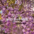 창북중학교 이미지
