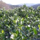 설화농장 이미지