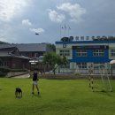 청령포초등학교 이미지