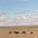 초원커피숍 이미지