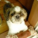 매화마을1단지 이미지