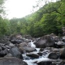 월평주공2단지 이미지