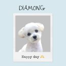 다이아몽 이미지