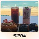 강릉데이트하기 좋은 강릉신상카페 백야커피