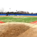 정문야구장 이미지