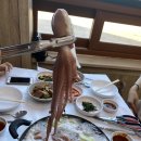 이원식당 | 태안 박속낙지 인생맛집, 이원식당 솔직후기