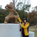 홍길동테마파크 이미지