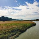 순천만 습지 이미지