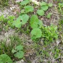 방장산 농장 이미지