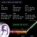 소리나무숲