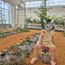 이춘기농장 이미지