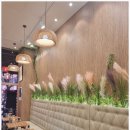 하노이별 이미지