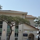 미채 | 춘천 부모님 모시고 갈만한 식당 <미담미채> 쌈밥 후기(내돈내산)