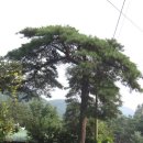 콩사랑마을 이미지