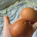 뉴라온다이어트캠프 | [뉴라온다이어트캠프] 다이어트 합숙소 일주일 후기