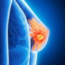 생활권19-1(R) 이미지