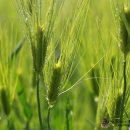 도희농장 이미지