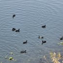 성서제방도로 이미지