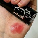 558 | 가을뮤트 립스틱 내돈내산 후기 및 실제 발색샷 : 디올 어딕트 립스틱(558 브와 드 로즈)