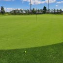 블루도그클럽 이미지