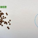 서울S한의원 이미지