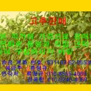 삼전비료 이미지