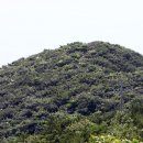 소로 3-917 | 연평도 착한꽃게에서 가을 햇꽃게를 구매후 후기글을 주신 분들(감사인사)