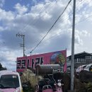 제주도 우도전기차 코코나라 2인 렌트 종일대여 후기