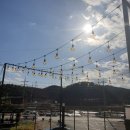 부구리532 이미지