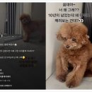 테나시아