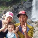 파마쟁이 네이버블로그