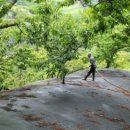 천혜농장 이미지