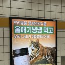 금강임업 | 33년 만에 열린 홍릉숲 직접 다녀왔어요🌳 대한민국 100대 명품숲 / 도심 한복판에서 숲멍 가능