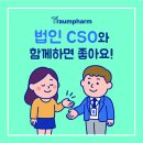 트라움컨설팅
