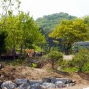 강촌캠핑장 이미지