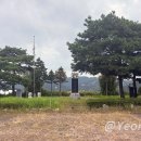석송 3,1만세유적지 티스토리
