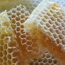 현이네농장 이미지