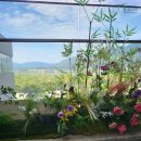 아쿠아녹주불가마사우나 | [경기/하남] 하남 스타필드 아쿠아필드 찜질스파후기 (할인팁,구비 및 제공물품,준비물,시설소개,사우나)