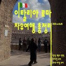 스파클링민박 | 로마 겨울 여행 총정리! 한인택시 · 로마의 휴일 한인민박 솔직 후기 | 바티칸, 로마 시내 야경 투어